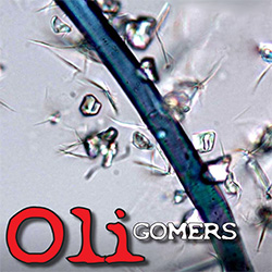 آنتی الیگومر