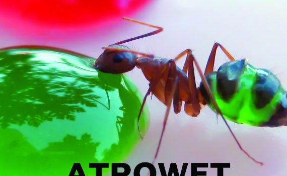 عامل خیس کننده Atrowet