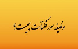 وظیفه سورفکتانت ها چیست؟