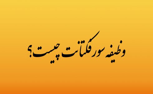 وظیفه سورفکتانت ها چیست؟